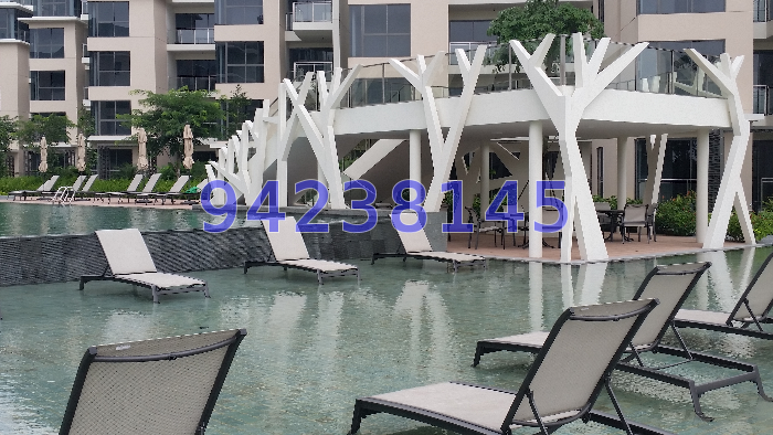 The Miltonia Residences (D27), Condominium #37490062
